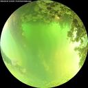 ./images/calvert/underwater/20260620/underwater20260620_131001M.jpg