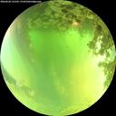 ./images/calvert/underwater/20260620/underwater20260620_131501M.jpg