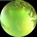 ./images/calvert/underwater/20260620/underwater20260620_132002M.jpg