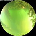 ./images/calvert/underwater/20260620/underwater20260620_132501M.jpg