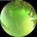./images/calvert/underwater/20260620/underwater20260620_133002M.jpg