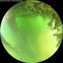 ./images/calvert/underwater/20260620/underwater20260620_133501M.jpg