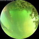 ./images/calvert/underwater/20260620/underwater20260620_134001M.jpg