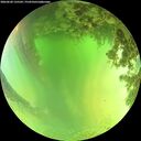 ./images/calvert/underwater/20260620/underwater20260620_135502M.jpg