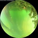 ./images/calvert/underwater/20260620/underwater20260620_140501M.jpg