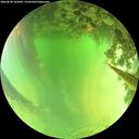 ./images/calvert/underwater/20260620/underwater20260620_141002M.jpg