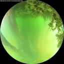 ./images/calvert/underwater/20260620/underwater20260620_141501M.jpg