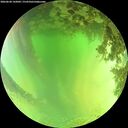 ./images/calvert/underwater/20260620/underwater20260620_142001M.jpg