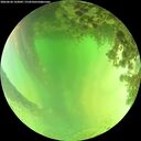 ./images/calvert/underwater/20260620/underwater20260620_143001M.jpg