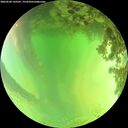 ./images/calvert/underwater/20260620/underwater20260620_143501M.jpg