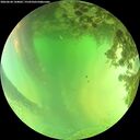./images/calvert/underwater/20260620/underwater20260620_144002M.jpg