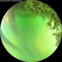 ./images/calvert/underwater/20260620/underwater20260620_144501M.jpg