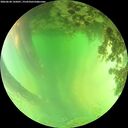 ./images/calvert/underwater/20260620/underwater20260620_145001M.jpg