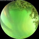 ./images/calvert/underwater/20260620/underwater20260620_150501M.jpg