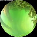 ./images/calvert/underwater/20260620/underwater20260620_151002M.jpg