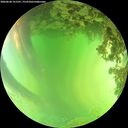 ./images/calvert/underwater/20260620/underwater20260620_151501M.jpg