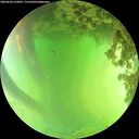 ./images/calvert/underwater/20260620/underwater20260620_152001M.jpg
