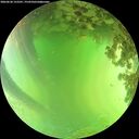 ./images/calvert/underwater/20260620/underwater20260620_152501M.jpg