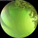 ./images/calvert/underwater/20260620/underwater20260620_153501M.jpg