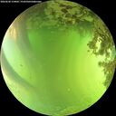 ./images/calvert/underwater/20260620/underwater20260620_154002M.jpg