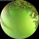 ./images/calvert/underwater/20260620/underwater20260620_155001M.jpg