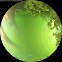 ./images/calvert/underwater/20260620/underwater20260620_155502M.jpg