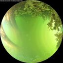 ./images/calvert/underwater/20260620/underwater20260620_160502M.jpg