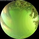 ./images/calvert/underwater/20260620/underwater20260620_161001M.jpg