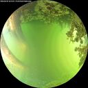 ./images/calvert/underwater/20260620/underwater20260620_161501M.jpg