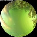 ./images/calvert/underwater/20260620/underwater20260620_162002M.jpg