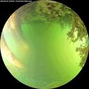 ./images/calvert/underwater/20260620/underwater20260620_163001M.jpg