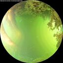 ./images/calvert/underwater/20260620/underwater20260620_163501M.jpg
