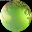 ./images/calvert/underwater/20260620/underwater20260620_164001M.jpg
