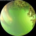./images/calvert/underwater/20260620/underwater20260620_164501M.jpg