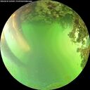./images/calvert/underwater/20260620/underwater20260620_165001M.jpg