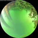 ./images/calvert/underwater/20260620/underwater20260620_170501M.jpg