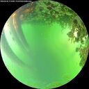 ./images/calvert/underwater/20260620/underwater20260620_171001M.jpg