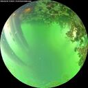 ./images/calvert/underwater/20260620/underwater20260620_172001M.jpg