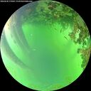 ./images/calvert/underwater/20260620/underwater20260620_173002M.jpg