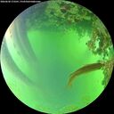 ./images/calvert/underwater/20260620/underwater20260620_173501M.jpg