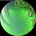 ./images/calvert/underwater/20260620/underwater20260620_174501M.jpg