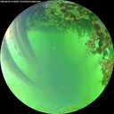 ./images/calvert/underwater/20260620/underwater20260620_175001M.jpg