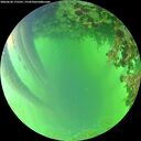 ./images/calvert/underwater/20260620/underwater20260620_175501M.jpg