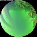 ./images/calvert/underwater/20260620/underwater20260620_180002M.jpg