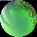./images/calvert/underwater/20260620/underwater20260620_181001M.jpg