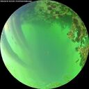 ./images/calvert/underwater/20260620/underwater20260620_181501M.jpg