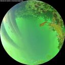 ./images/calvert/underwater/20260620/underwater20260620_182001M.jpg