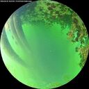 ./images/calvert/underwater/20260620/underwater20260620_182502M.jpg