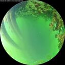 ./images/calvert/underwater/20260620/underwater20260620_183001M.jpg