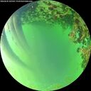 ./images/calvert/underwater/20260620/underwater20260620_183502M.jpg